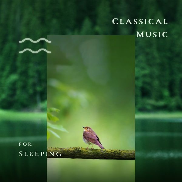 classical-music-for-sleeping-hires